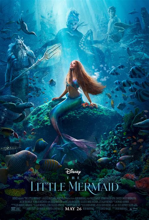 Enchanted Mermaid Review (2024) .